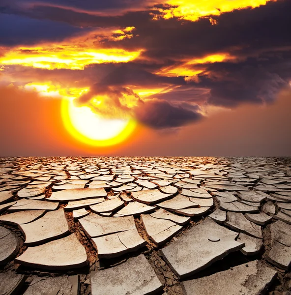 Drought lands — Stock Photo, Image