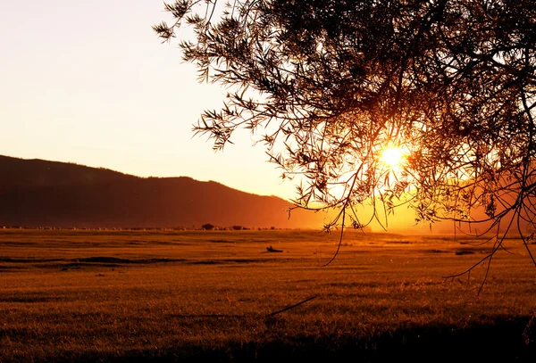 Zachód słońca na użytki zielone — Zdjęcie stockowe