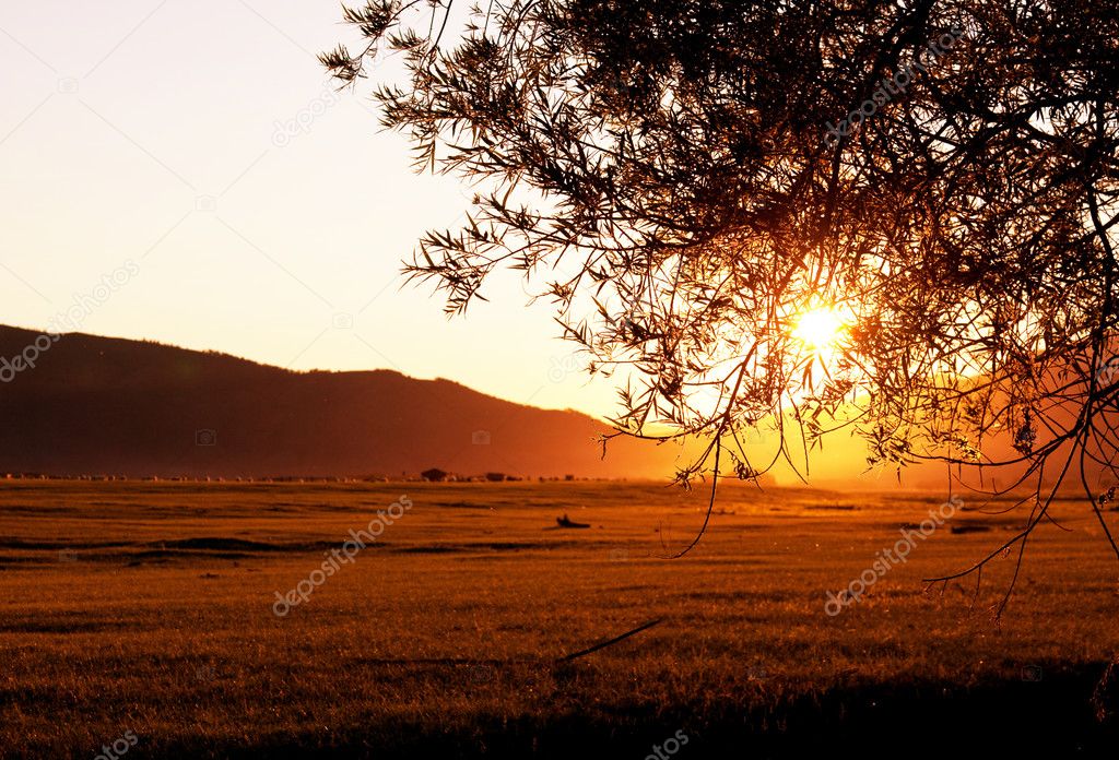 Sunset on grassland