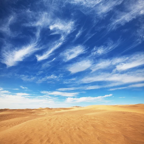 Desierto — Foto de Stock