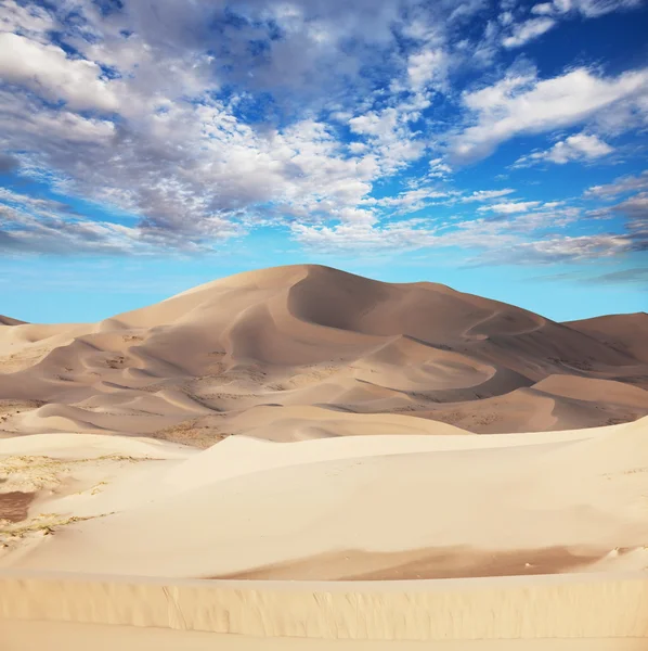 A sivatagi dűnék — Stock Fotó