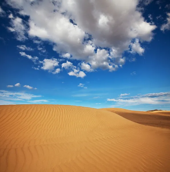 Desierto —  Fotos de Stock