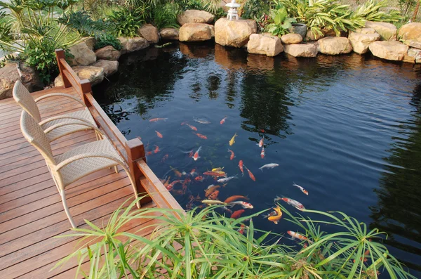 Un jardin privé avec des plantes tropicales et un étang de poissons dans le sud de la Chine, Guangdong . — Photo