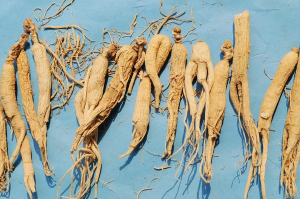 Dried Chinese herbal Gingseng — Stock Photo, Image