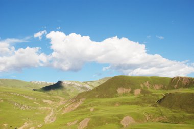 mavi gökyüzünün altında çayıra