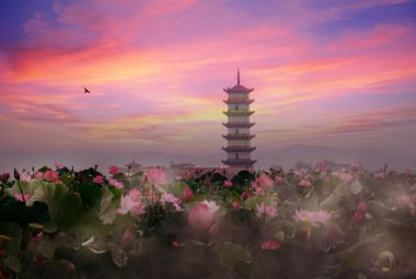Lotus pond and ancient Chinese tower in sunset clipart