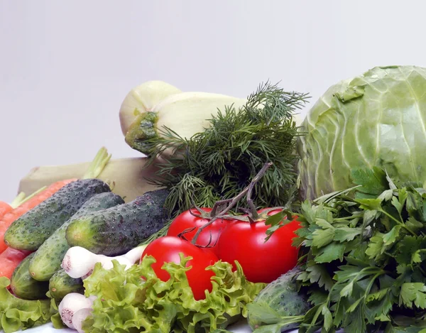 Verschiedenes Gemüse — Stockfoto
