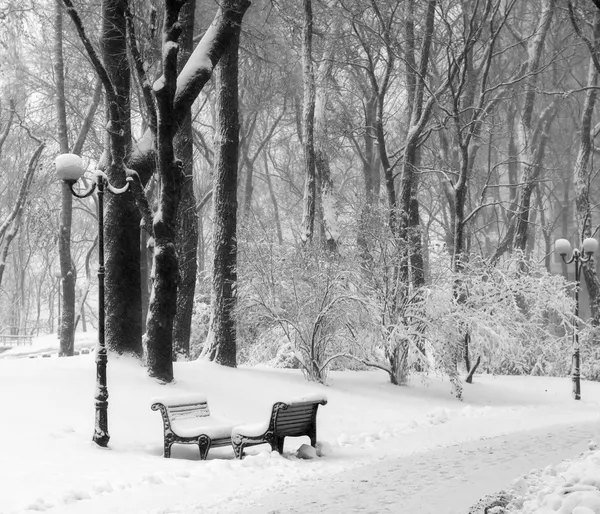 Sklepy w śniegu w zimie park — Zdjęcie stockowe