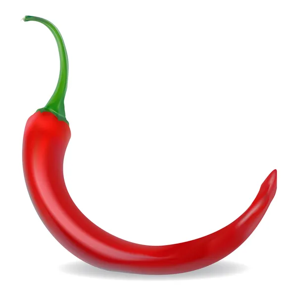 Vörös csípős chili paprika vektor — Stock Vector