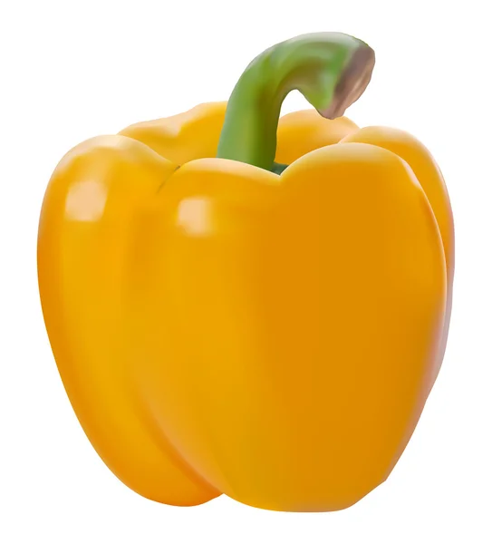 Žlutá paprika — Stockový vektor