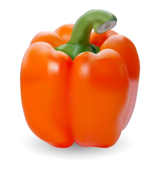 Oranje paprika — Stockvector