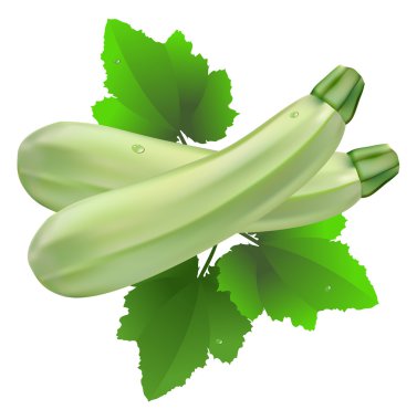 Courgette clipart