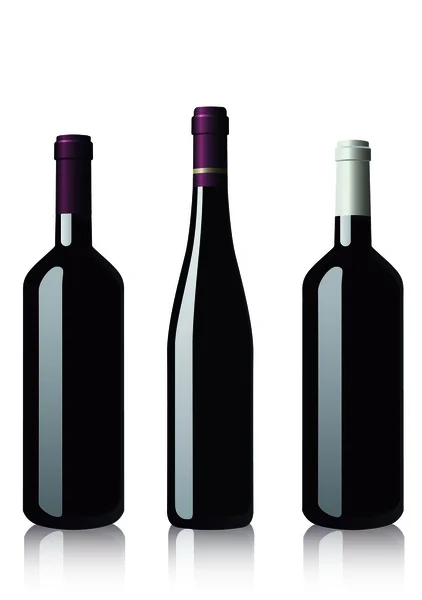 Botellas de vino tinto — Vector de stock