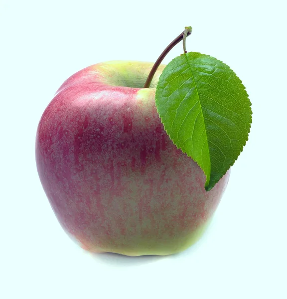 Różowy jabłko — Zdjęcie stockowe