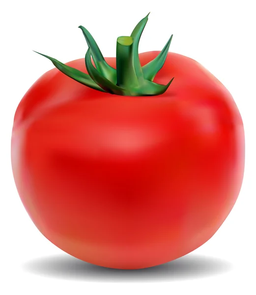 Tomate — Archivo Imágenes Vectoriales