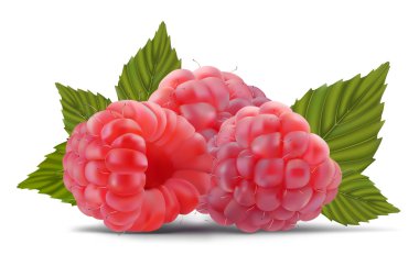 Raspberry with leaves clipart