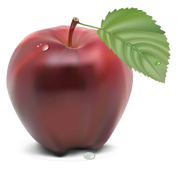 Свежее красное яблоко с зеленым листом — стоковый вектор