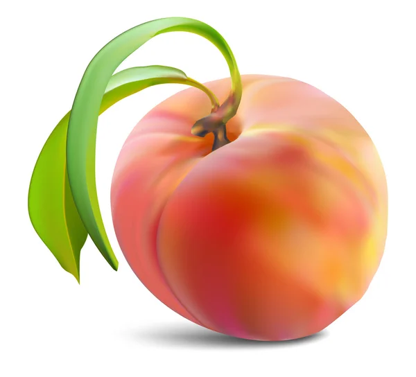 Pfirsiche und Blätter — Stockvektor