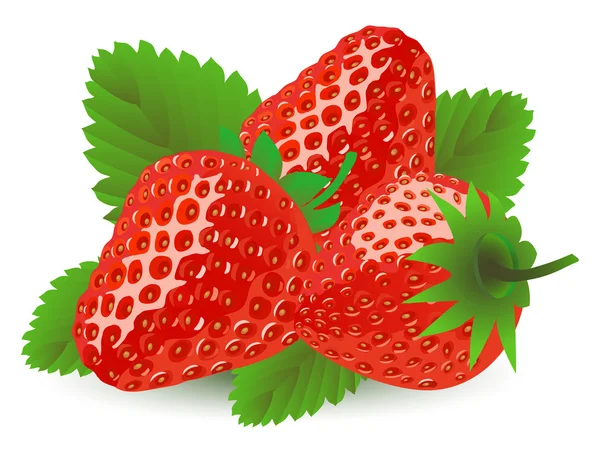 Φράουλα απομονωμένη σε λευκό — Διανυσματικό Αρχείο