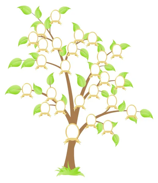 Slægtstræ – Stock-vektor