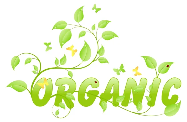 Orgânico ecológico —  Vetores de Stock
