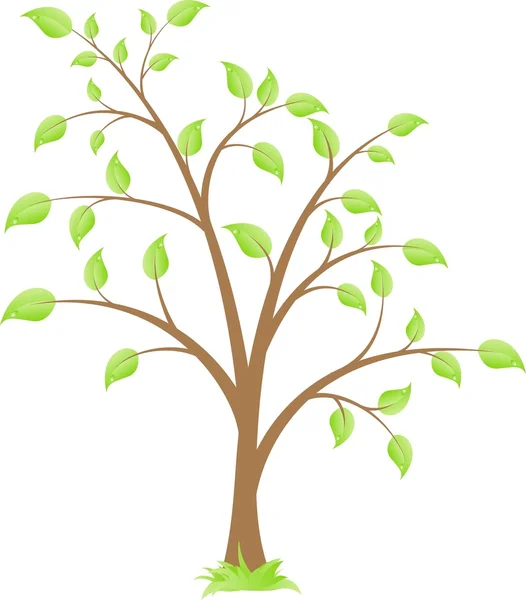 简单的树 — 图库矢量图片