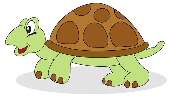 Kaplumbağa — Stok Vektör