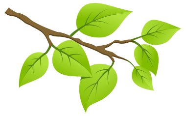Tree branch clipart
