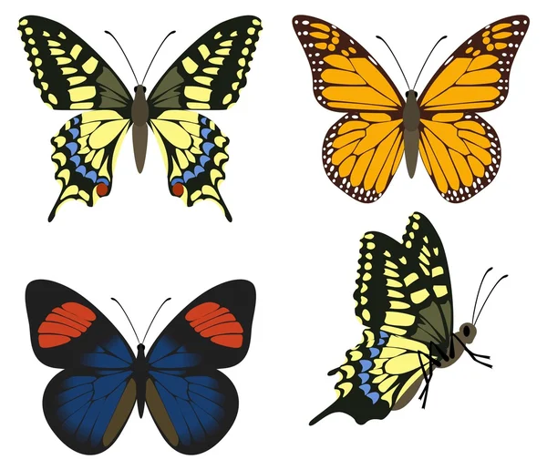 Метелики — стоковий вектор