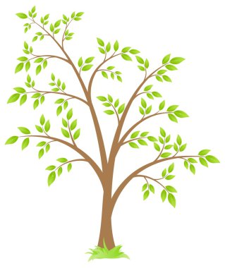 Tree clipart