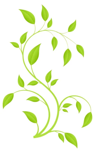 Зеленая ветка — стоковый вектор