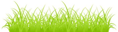 Grass. clipart