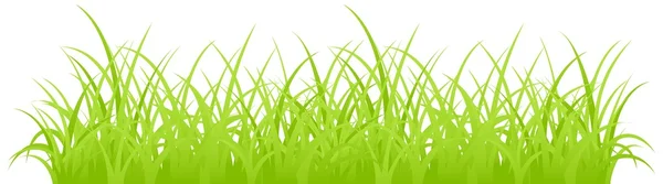 Grass. — Stock Vector