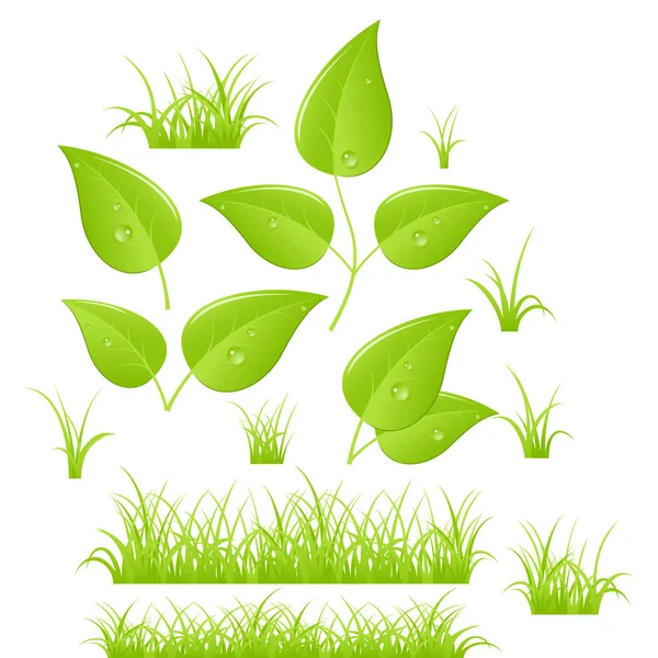 Ramas verdes y hierba — Vector de stock