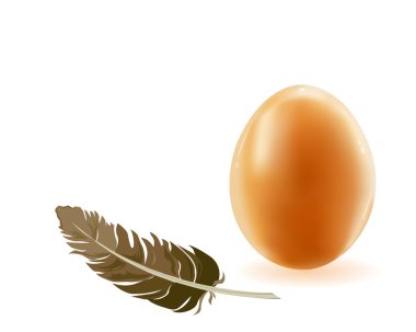 Egg and feather clipart