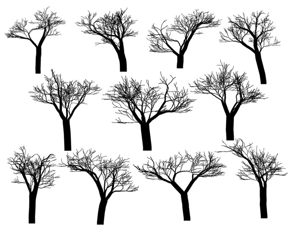 Silhouetten van de bomen — Stockvector