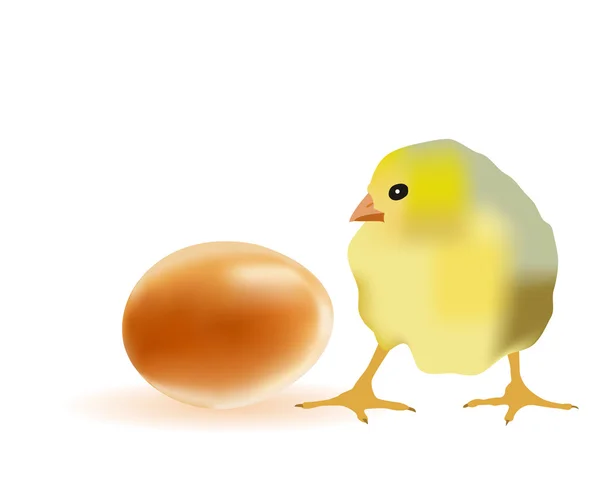 鸡蛋和鸡肉 — 图库矢量图片