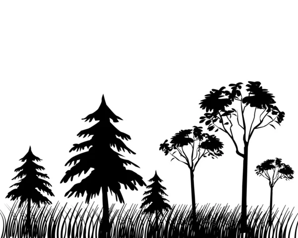 Лес — стоковый вектор