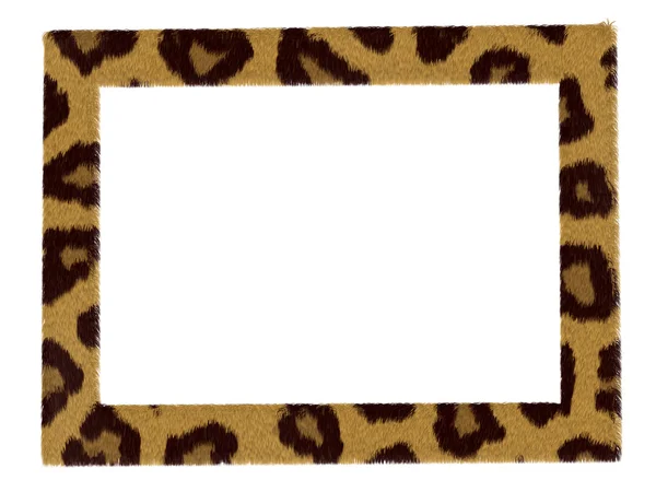 Stylish picture leopard pattern frame isolated over white — Stock Photo, Image