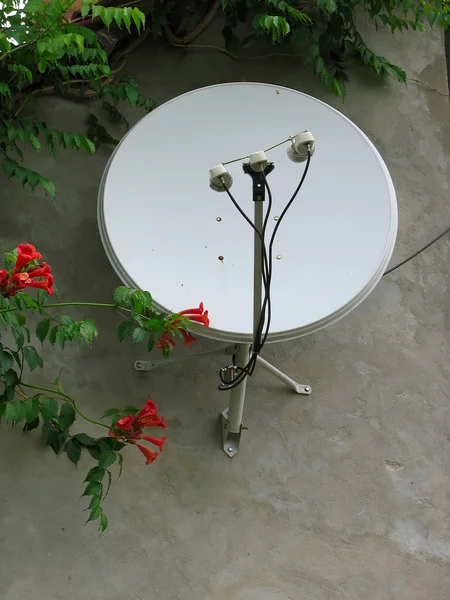 Параболическая спутниковая антенна на стене дома — стоковое фото