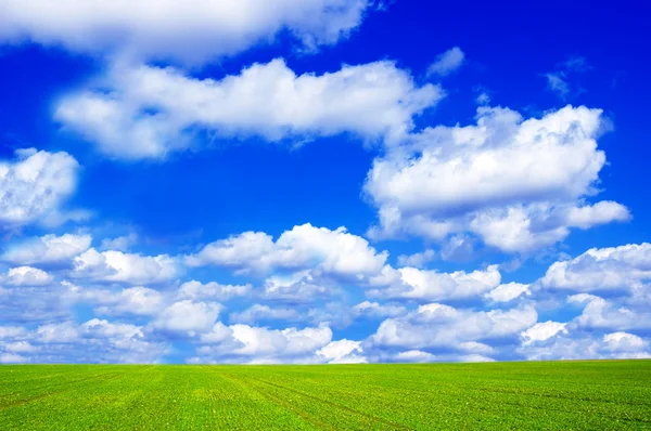 그린 필드와 푸른 하늘 이미지. — 스톡 사진