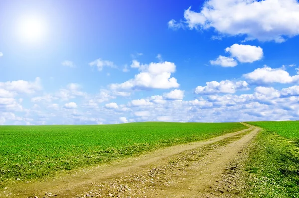 Zielone pole i błękitne niebo obraz. — Zdjęcie stockowe