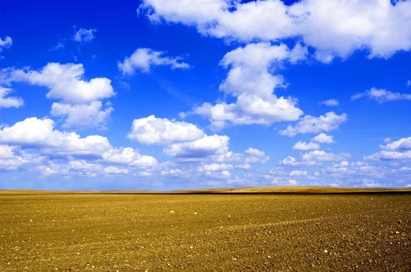Plowed field conceptual image. — Stock Photo, Image