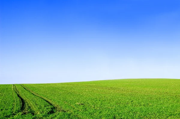 Campo verde e imagen cielo azul . — Foto de Stock