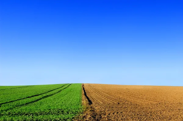 Green and plowed field conceptual image. — Stock Photo, Image