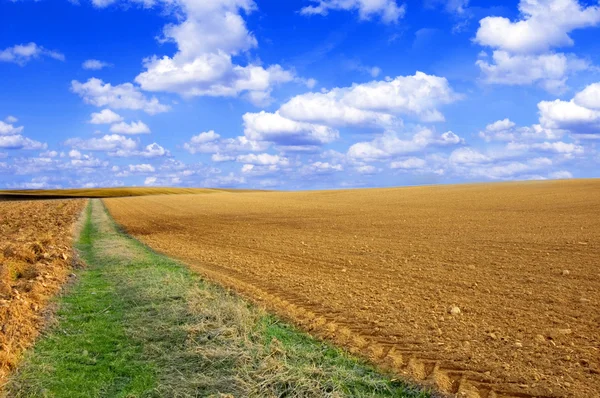 Plowed field conceptual image. — Stock Photo, Image
