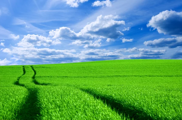 Gröna fält och blå himmel konceptuell bild. — Stockfoto