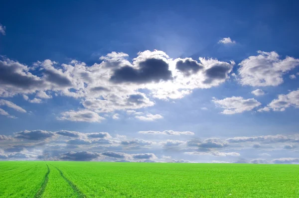 Campo verde y cielo azul imagen conceptual . — Foto de Stock