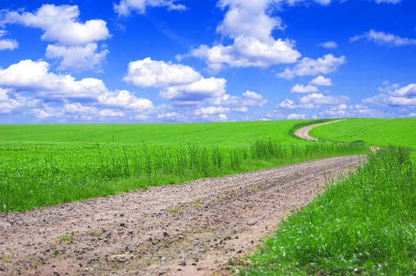 Zielone pole z drogi i niebieski niebo. — Zdjęcie stockowe