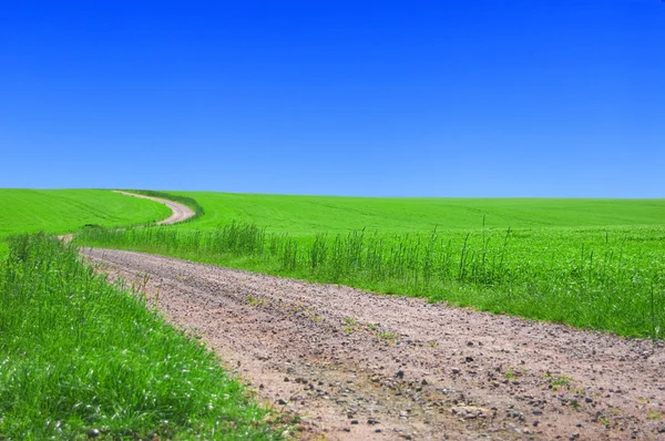 Grönt fält med road och blå himmel. — Stockfoto